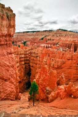 bryce canyon bakış açısından görüntüleme. Utah. ABD