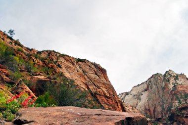 Zion canyon