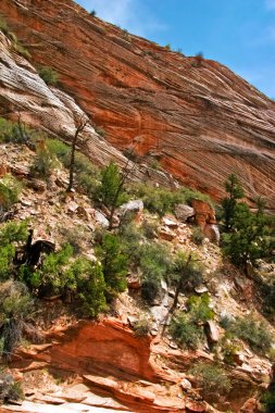 Zion canyon