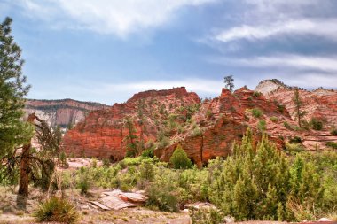 zion canyon yamaçları. Utah. ABD.