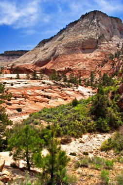 zion canyon yamaçları. Utah. ABD.