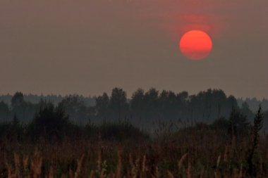 Yaz alanına Sunset