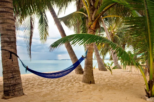 stock image Exotic tropical beach.