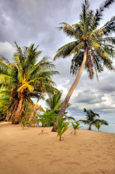 Spiaggia tropicale sotto il cielo cupo — Foto Stock
