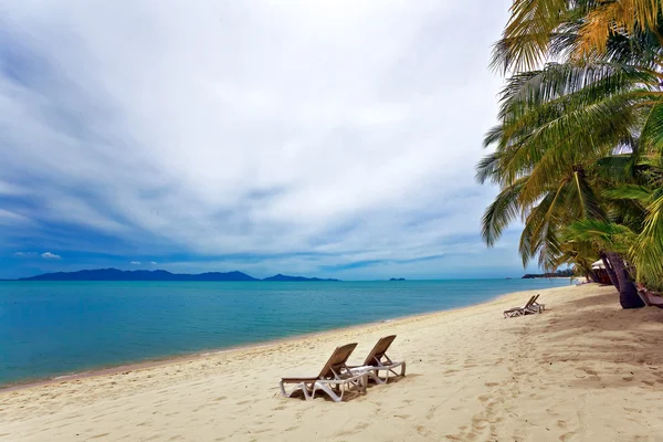 Exotischer tropischer Strand. — Stockfoto