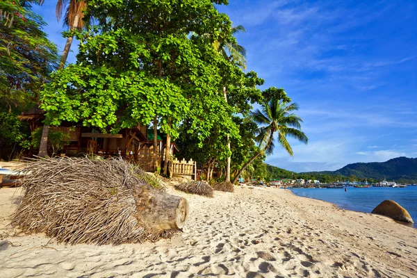 Egzotyczna plaża tropikalna. — Zdjęcie stockowe