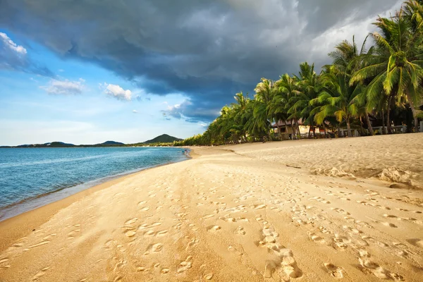 エキゾチックな熱帯のビーチ. — ストック写真