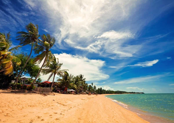 Exotická tropická pláž. — Stock fotografie