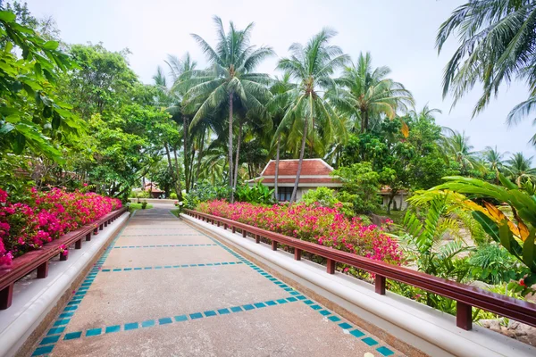 Krásná Tropická zahrada — Stock fotografie