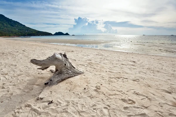 Praia tropical exótica . — Fotografia de Stock