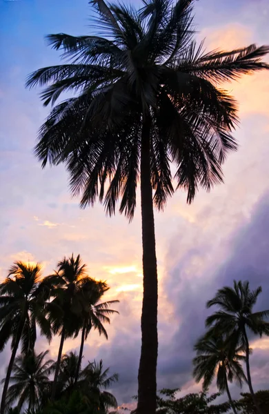 Tramonto tropicale colorato . — Foto Stock