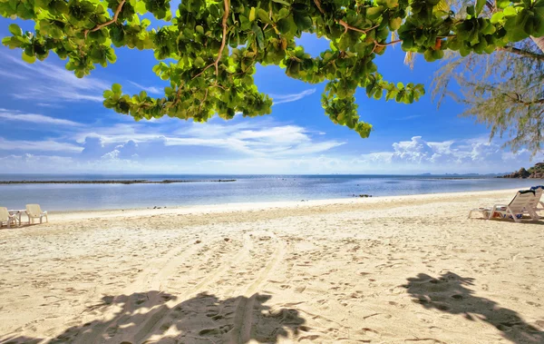 Экзотический тропический пляж. — стоковое фото