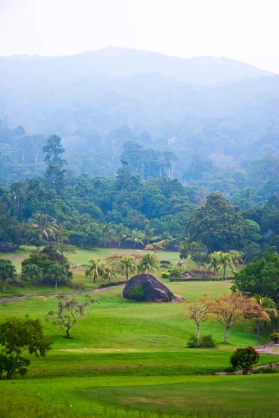 View on foggy jungle. — Stock Photo, Image