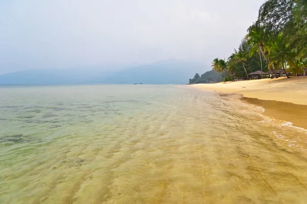 Playa tropical brumosa . — Foto de Stock