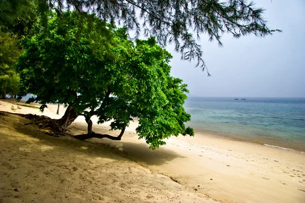 Foggy tropical beach. — Stock Photo, Image