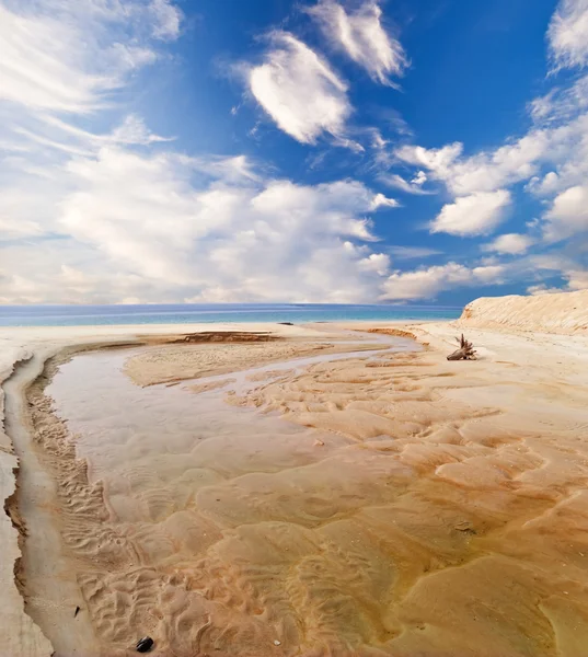 stock image Exotic tropical beach.