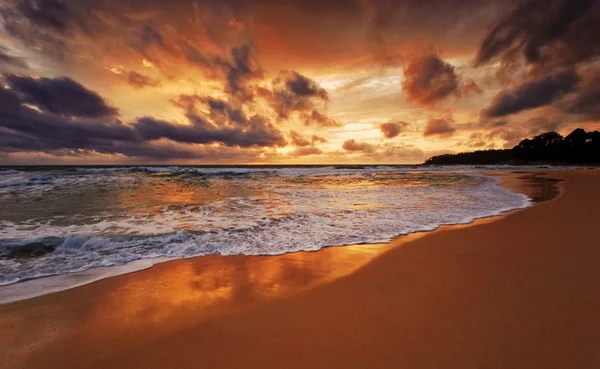 Pôr do sol colorido tropical . — Fotografia de Stock