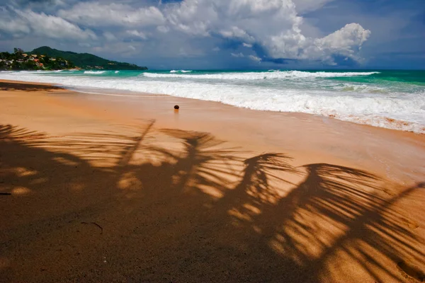 Karanlık gökyüzü altında tropik sahil — Stok fotoğraf