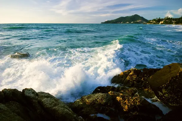 奇异的热带海滩. — 图库照片