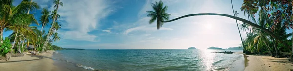 Panorama de playa tropical —  Fotos de Stock