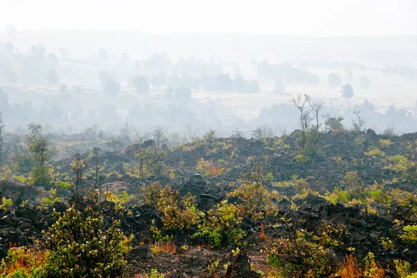 stock image Foggy landscape of the valley