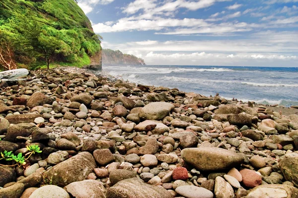 Stenen strand op the big island — Stockfoto