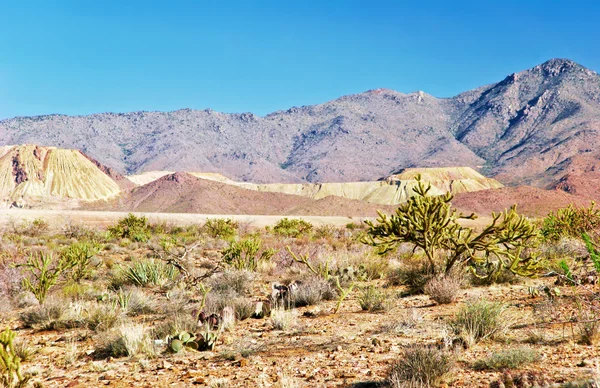 Paisaje sin vida del Valle de la Muerte —  Fotos de Stock