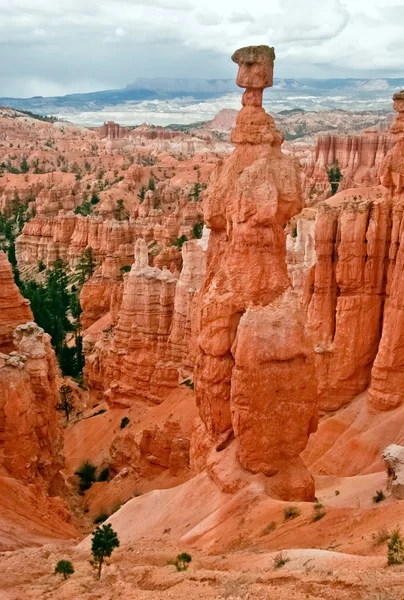 Visa ur synvinkel av bryce canyon. Utah. USA — Stockfoto
