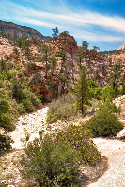 Zion canyon yamaçları. Utah. ABD. — Stok fotoğraf