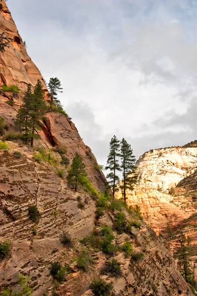 I zion canyon — Stockfoto