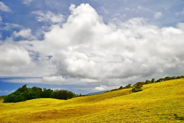 Paesaggio delle Hawaii — Foto Stock