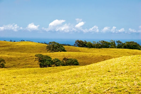 Landschap van Hawaï — Stockfoto