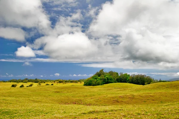 Landschaft von Hawaii — Stockfoto