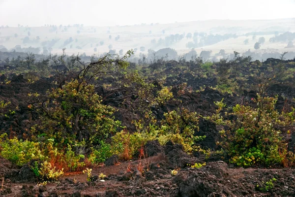 stock image Landscape of Hawaii