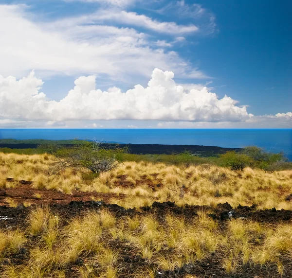 Okyanus büyük adada görüntüleyin. Hawaii — Stok fotoğraf