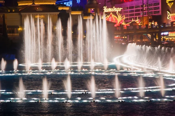 Bellagio Hotel flamingo arka planda müzik fountains — Stok fotoğraf