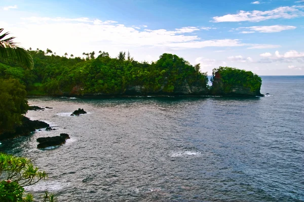 Vista sobre o oceano em Big Island. Havaí — Fotografia de Stock