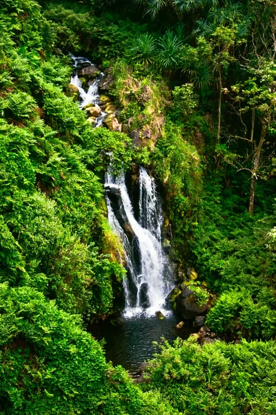 Kleiner Wasserfall im Dschungel der großen Insel. hawaii. — Stockfoto