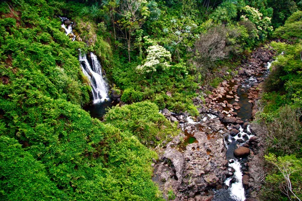 Kleiner Wasserfall im Dschungel der großen Insel. hawaii. — Stockfoto