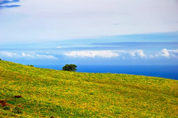 큰 섬에 바다에 보기. 하와이 — 스톡 사진