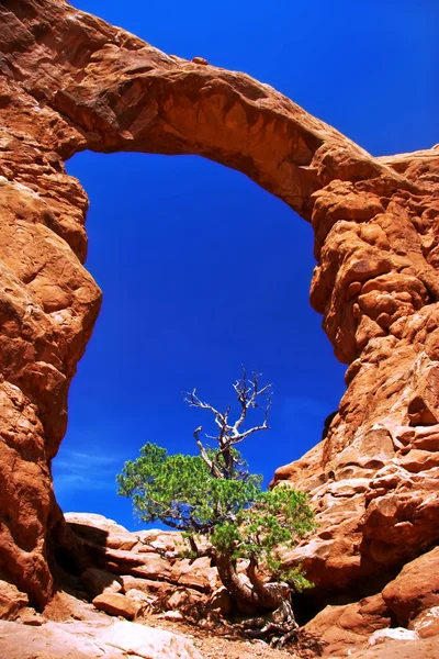 En Arches Canyon — Foto de Stock