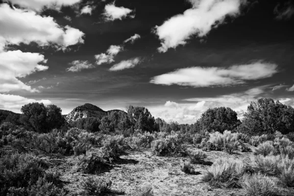 Paisagem do estado de Utah. Estados Unidos — Fotografia de Stock