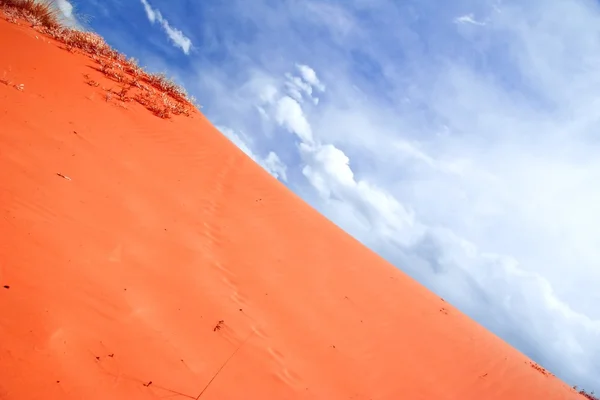 Korallrosa sanddyner — Stockfoto
