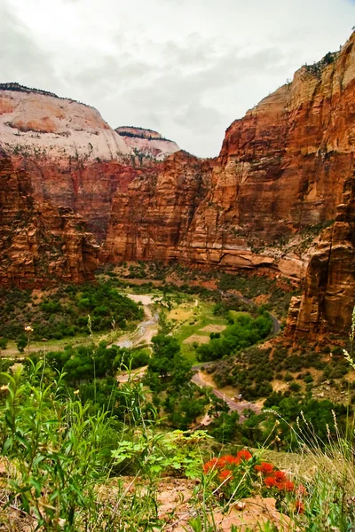 I zion canyon — Stockfoto