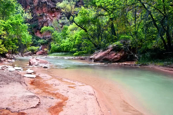 Rzeka w zion canyon — Zdjęcie stockowe