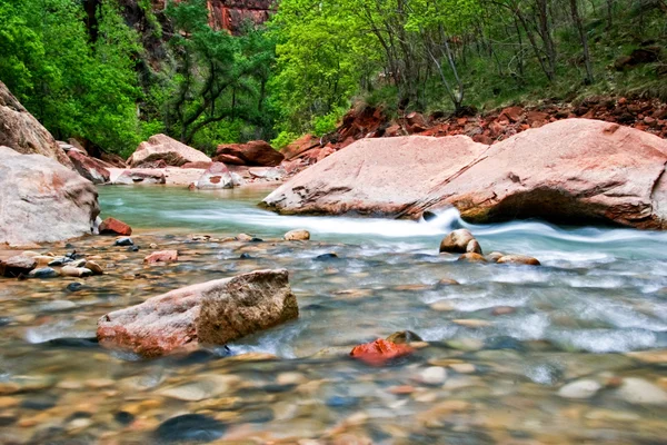 Rivier in zion canyon — Stockfoto