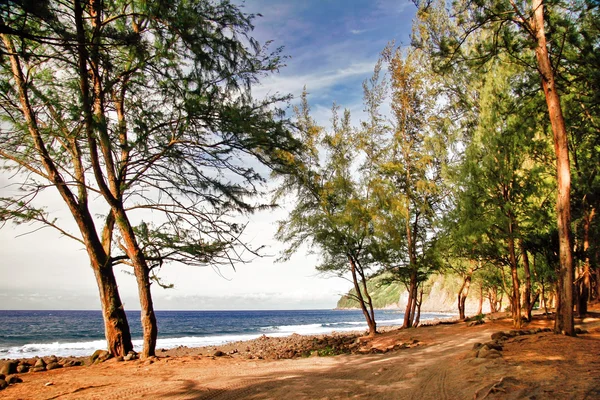 Slunečné tropickou pláž. Havaj — Stock fotografie