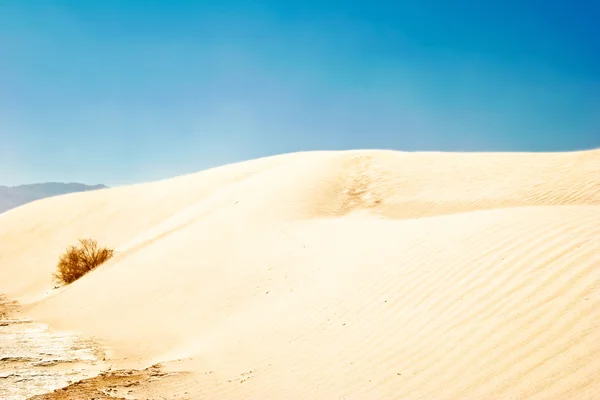 Dunas de arena blanca, Valle de la Muerte, California — Foto de Stock