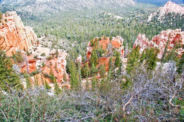 Slopes of Bryce canyon. Utah. USA. — Stock Photo, Image