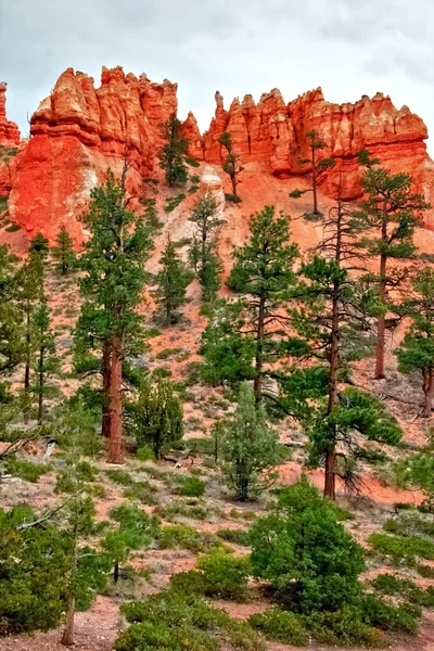 Visa ur synvinkel av bryce canyon. Utah. USA — Stockfoto